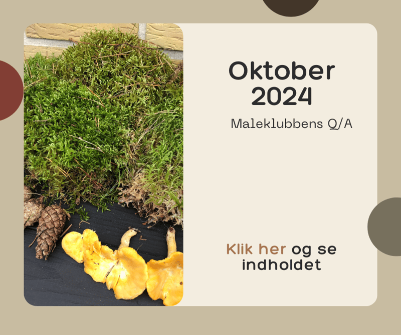 oktober 2024